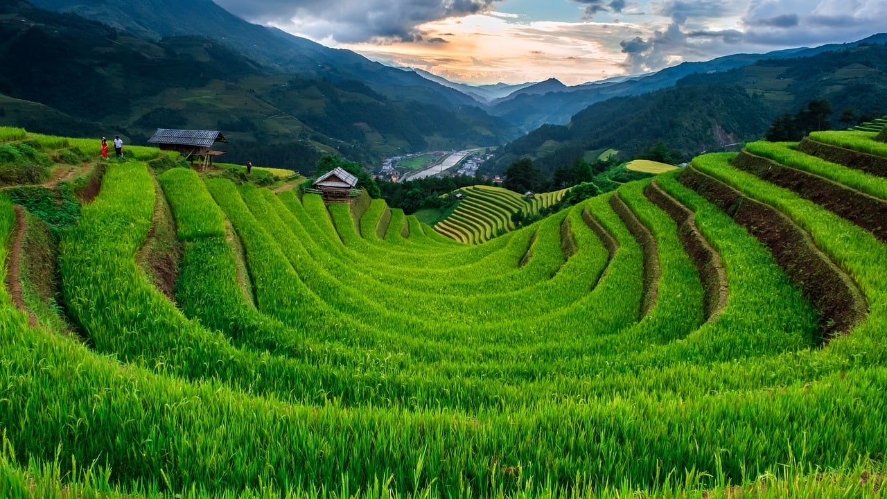 Vietnam image