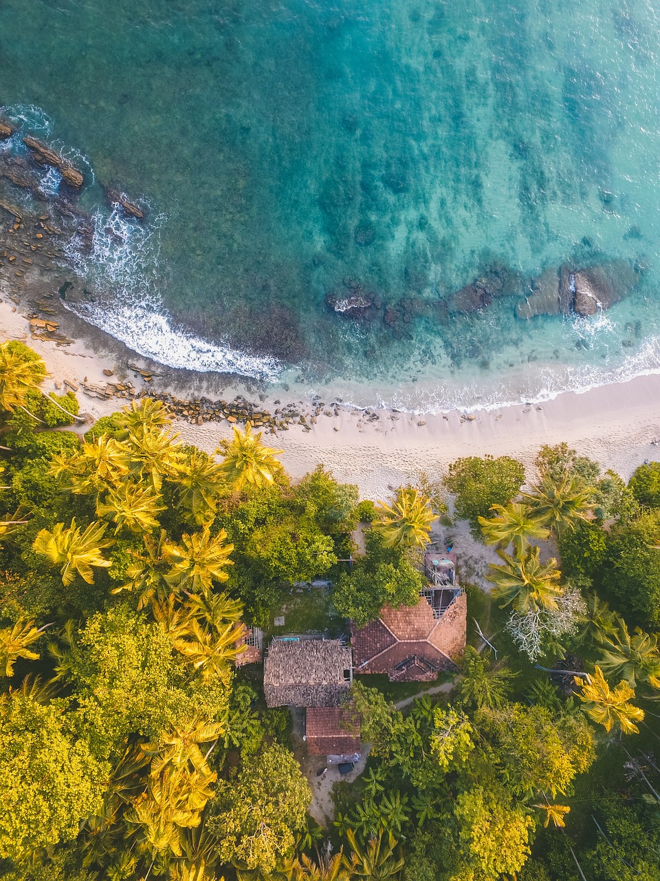 Sri Lanka image