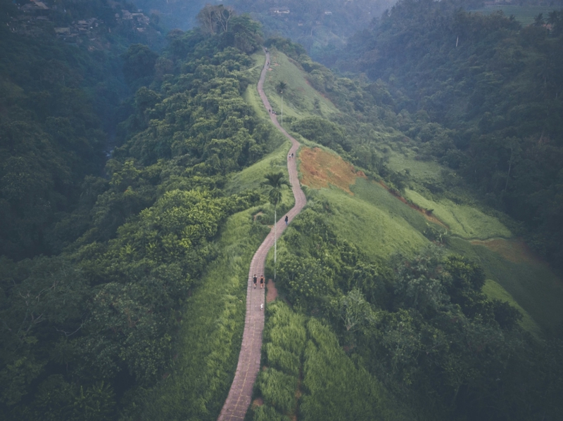 Image of Campuhan Ridge Walk