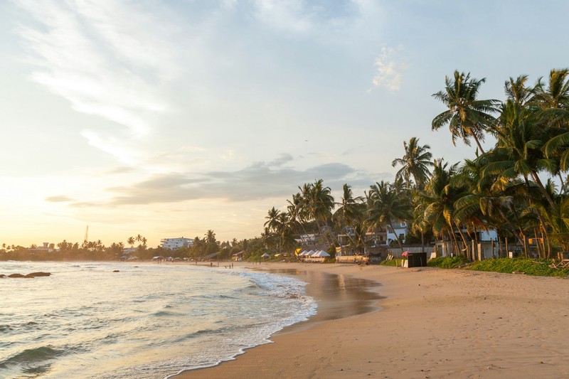 Image of Mirissa Beach