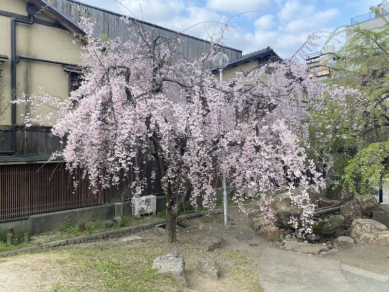 Image of Pontocho Park