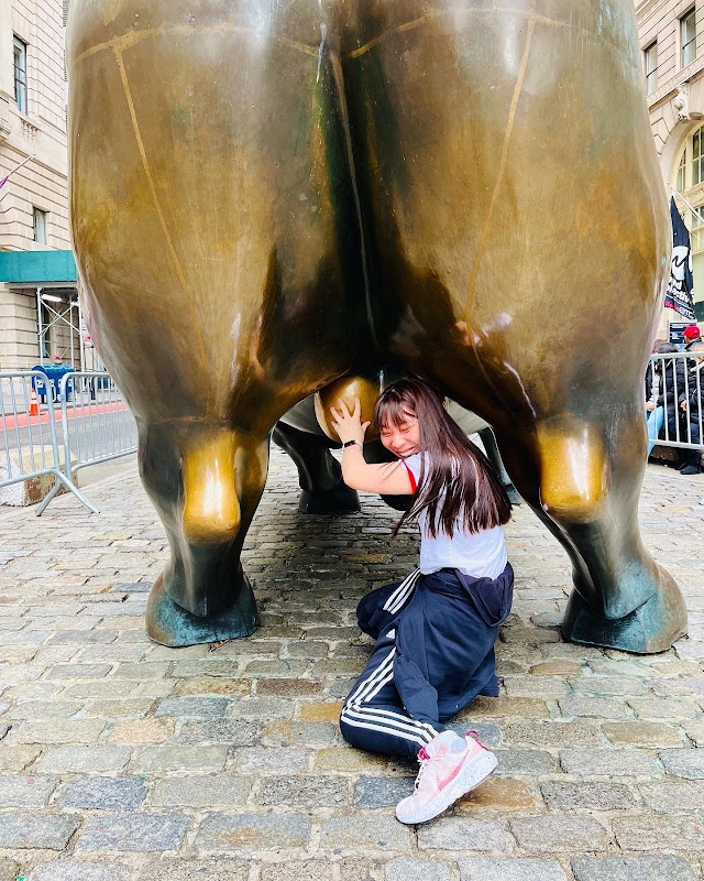 Image of Charging Bull Statue