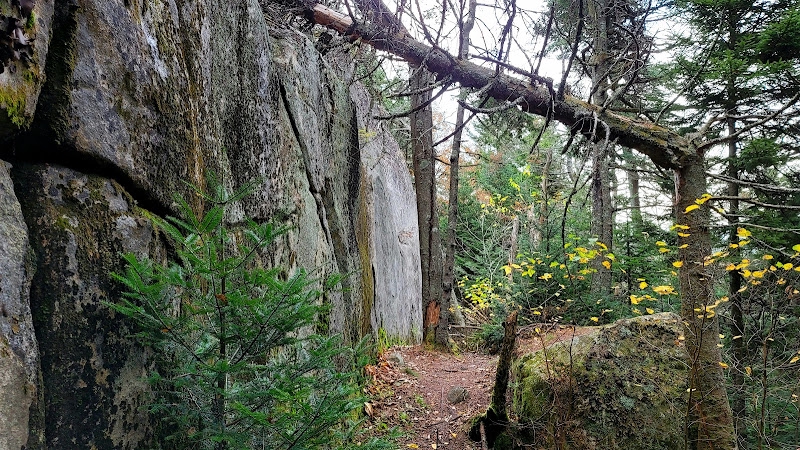 Image of Mt Ascutney State Park