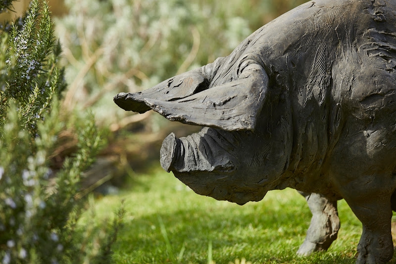 Image of The Pig