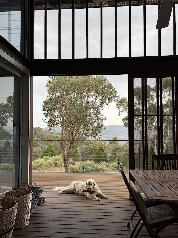 Image of Rock Forest Vineyard