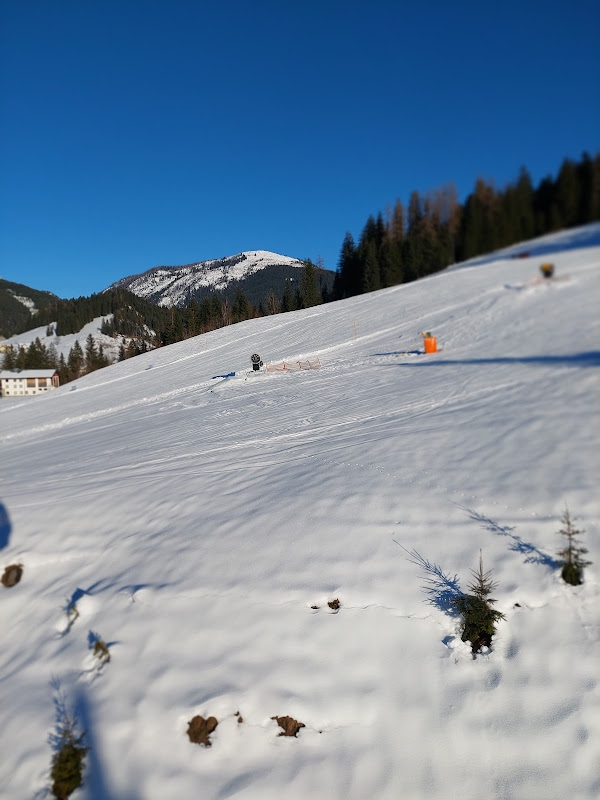 Image of Skigebiet Dachstein West