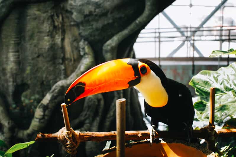 Image of The Green Planet - Dubai's Unique Indoor Rainforest