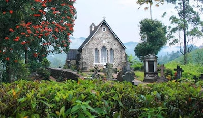 Image of Nuwara Eliya Tea Plantations