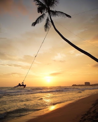 Image of Dream Cabana - Rooms, Restaurant, Rope Swing, swimming beach and free sunbeds