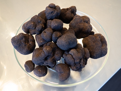 Image of RedGround Truffle Hunts