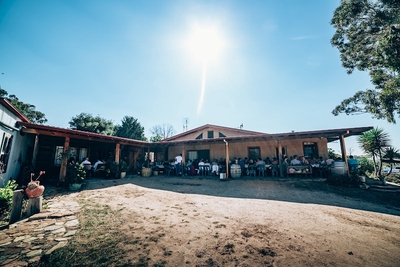 Image of Renzaglia Wines