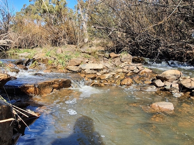 Image of Ophir