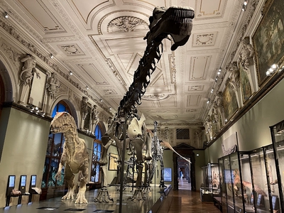 Image of Museum of Natural History Vienna
