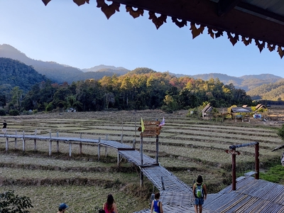 Image of Pai
