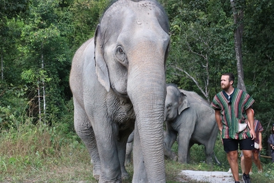Image of Chiang Mai Elephant Sanctuary
