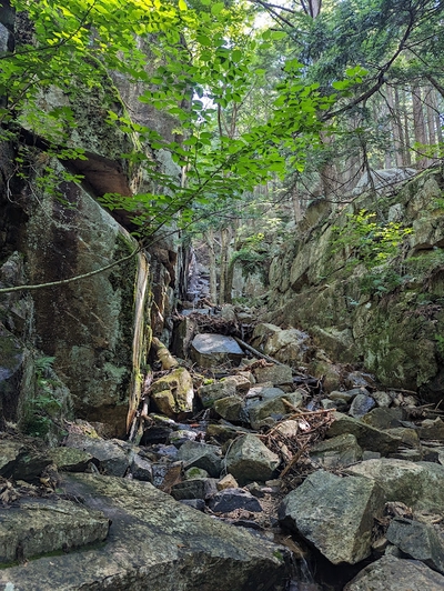 Image of Mt Ascutney State Park