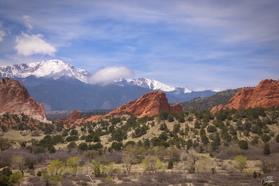 Image of Garden of the Gods