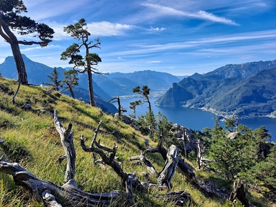 Image of Naturfreundesteig Klettersteig – Traunstein