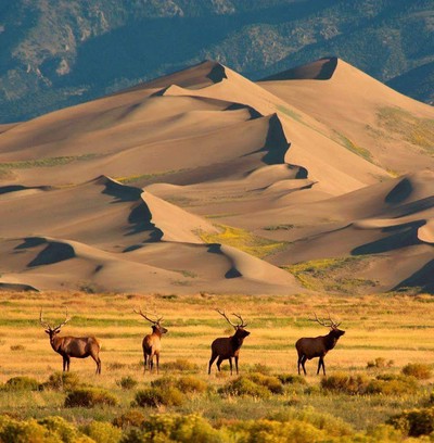 Image of Great Sand Dunes National Park and Preserve