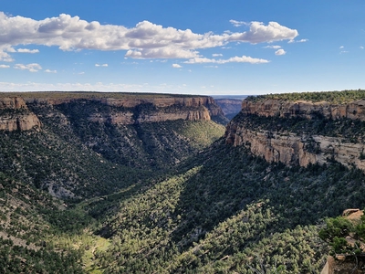 Image of Mesa Verde National Park