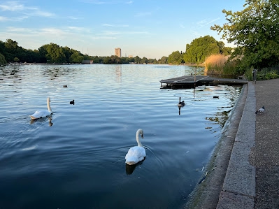 Image of Princess Diana Memorial Fountain