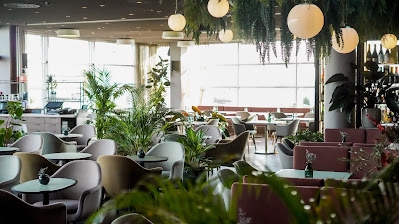 Image of SKY Bar im STEFFL