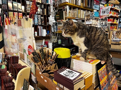 Image of Libreria Acqua Alta