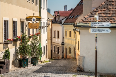 Image of Modrá Hviezda / Blue Star