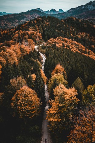 Goldener Ausklang – Novembertage in Gmunden