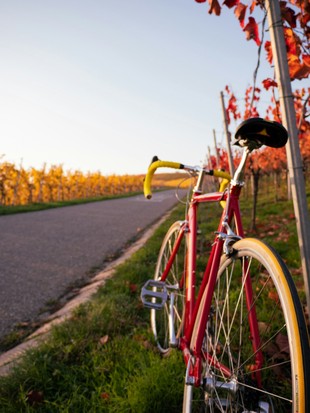 The High Country Wine Trail